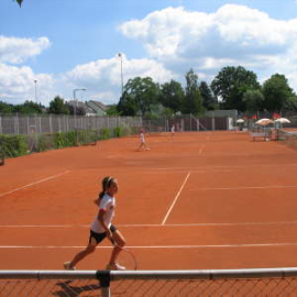 db_IMG_15441_Tb270x270jpg.png